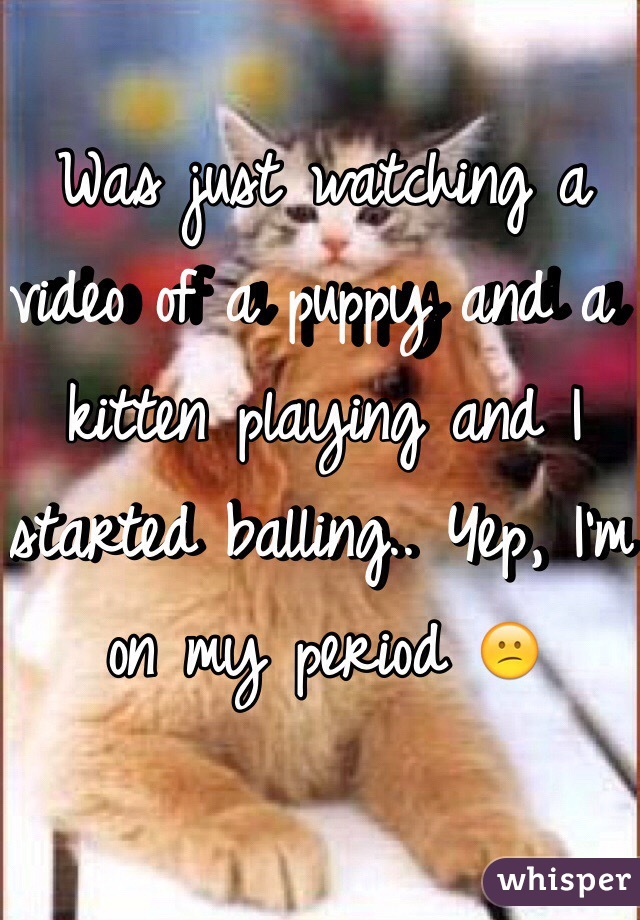 Was just watching a video of a puppy and a kitten playing and I started balling.. Yep, I'm on my period 😕