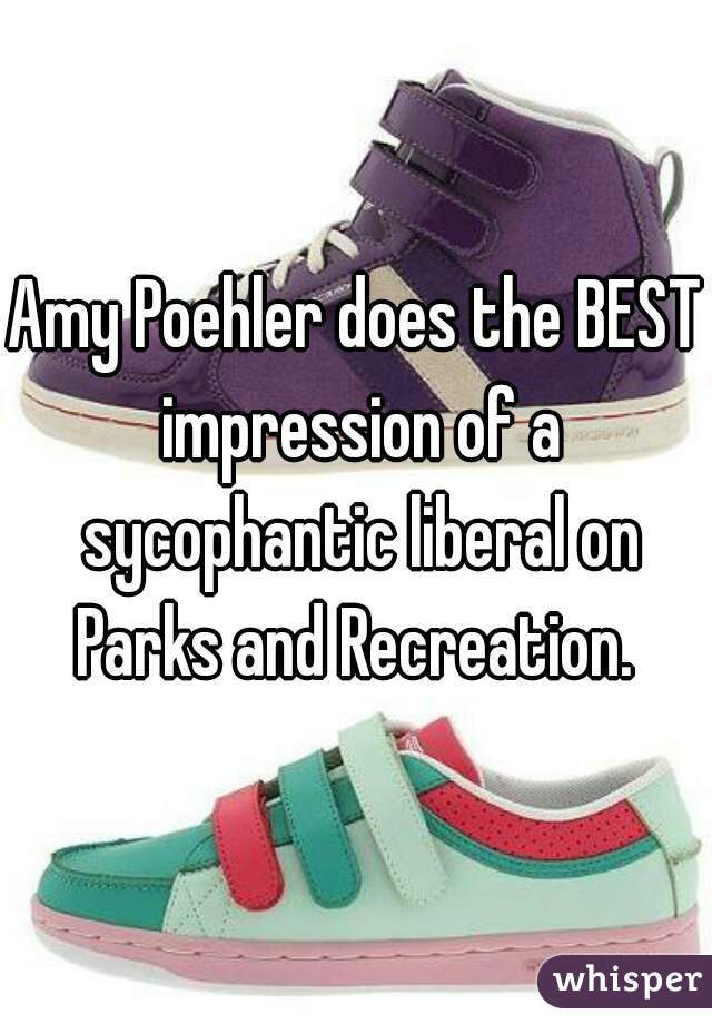 Amy Poehler does the BEST impression of a sycophantic liberal on Parks and Recreation. 