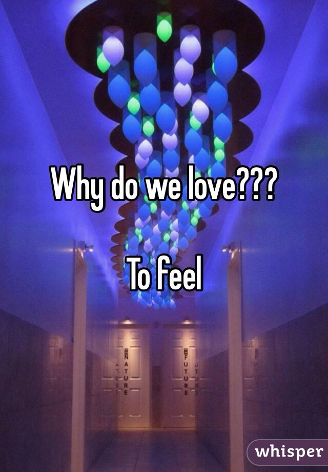 Why do we love???

To feel 