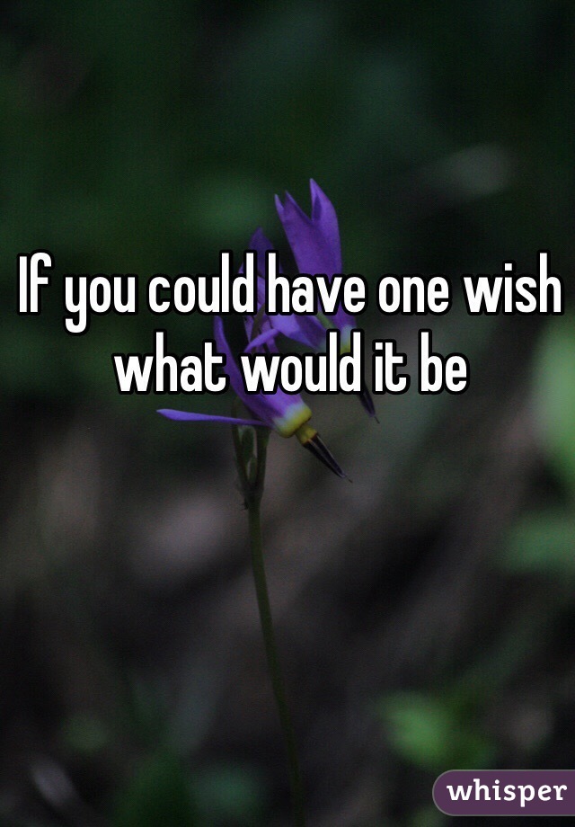 If you could have one wish what would it be 