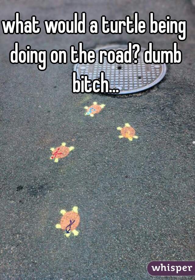 what would a turtle being doing on the road? dumb bitch...