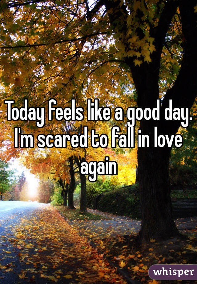 Today feels like a good day.
I'm scared to fall in love again