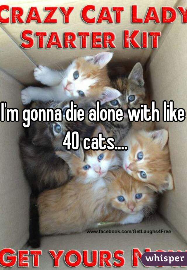 I'm gonna die alone with like 40 cats....