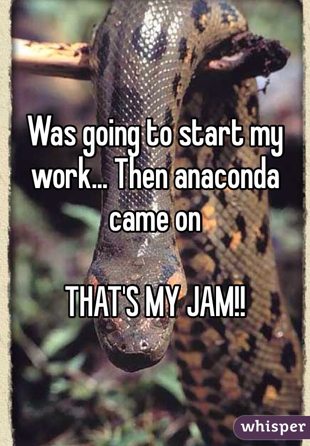 Was going to start my work... Then anaconda came on

THAT'S MY JAM!!