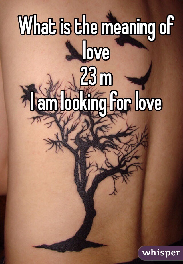 What is the meaning of love
23 m
I am looking for love