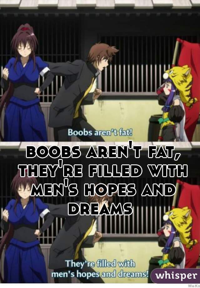  boobs aren't fat, they're filled with men's hopes and dreams 
