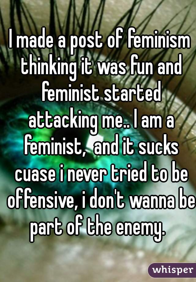 I made a post of feminism thinking it was fun and feminist started attacking me.. I am a feminist,  and it sucks cuase i never tried to be offensive, i don't wanna be part of the enemy.  