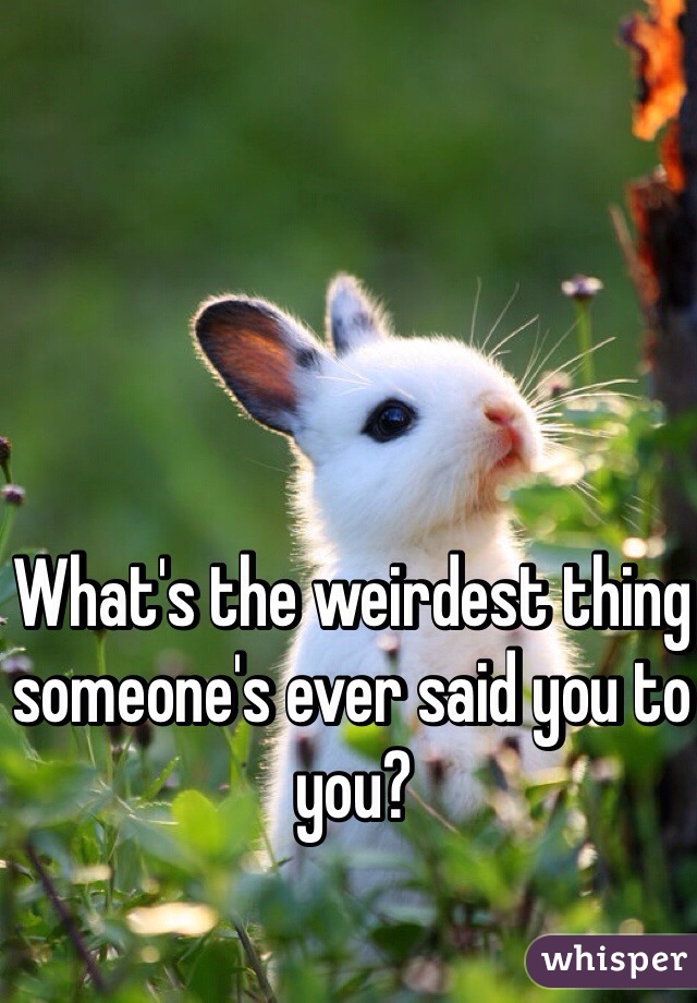 What's the weirdest thing someone's ever said you to you?