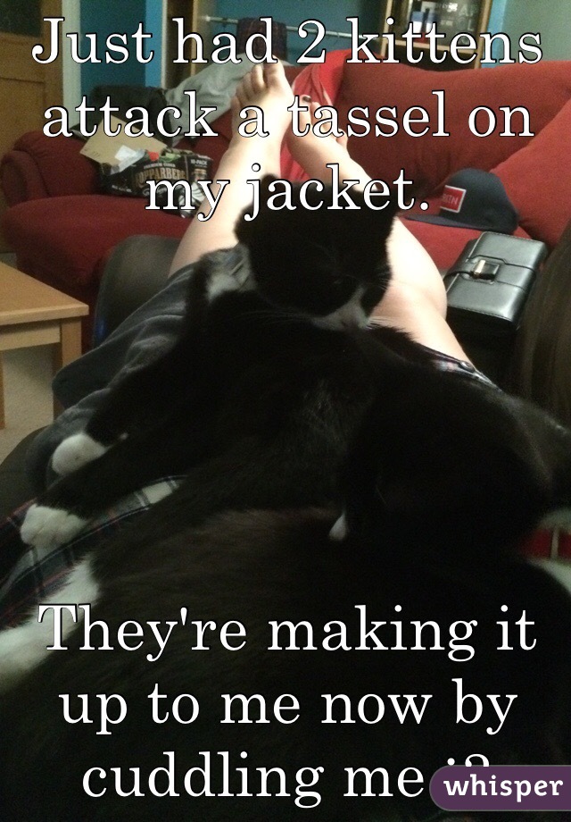 Just had 2 kittens attack a tassel on my jacket. 





They're making it up to me now by cuddling me :3