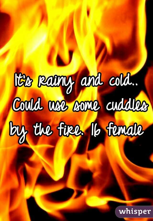 It's rainy and cold.. Could use some cuddles by the fire. 16 female 