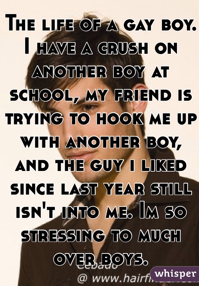 The life of a gay boy. I have a crush on another boy at school, my friend is trying to hook me up with another boy, and the guy i liked since last year still isn't into me. Im so stressing to much over boys.
