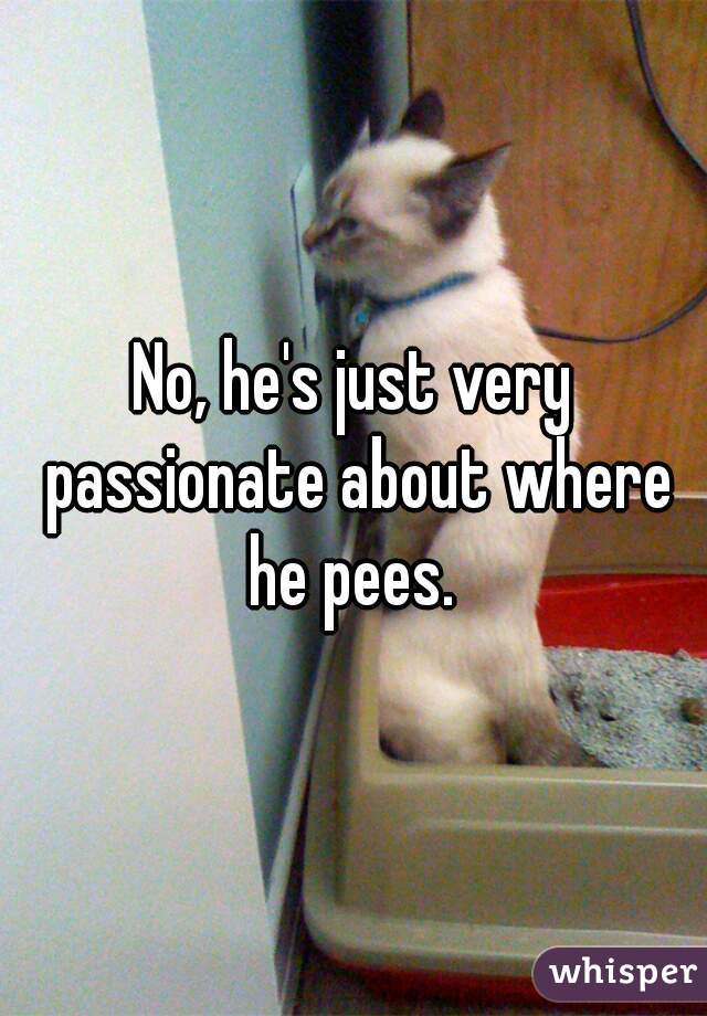 No, he's just very passionate about where he pees. 
