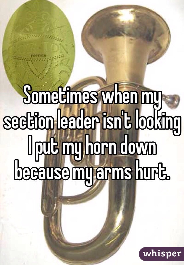 Sometimes when my section leader isn't looking I put my horn down because my arms hurt. 