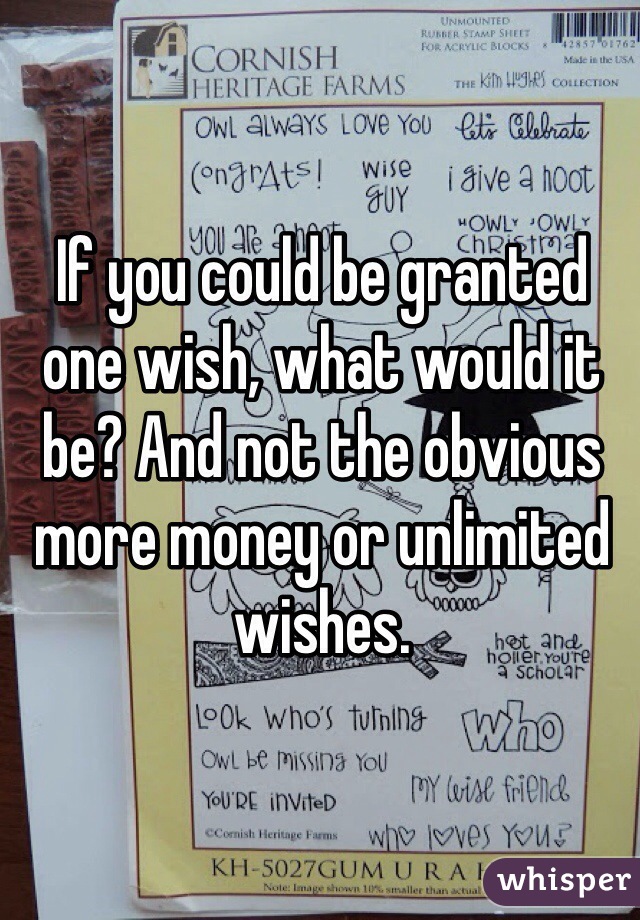If you could be granted one wish, what would it be? And not the obvious more money or unlimited wishes. 