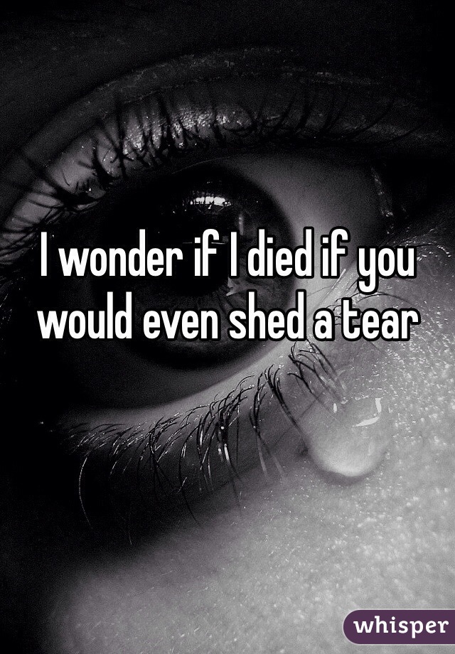 I wonder if I died if you would even shed a tear
