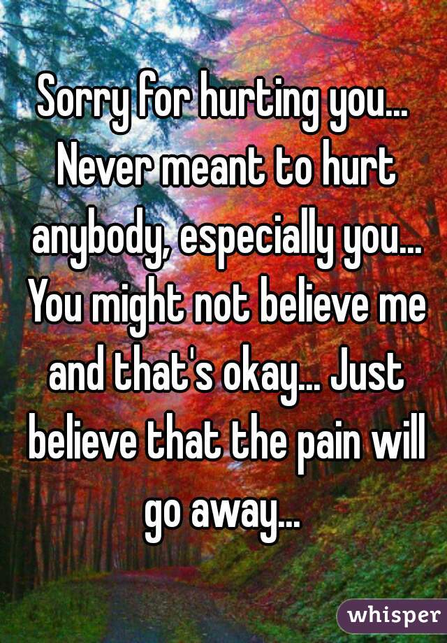 Sorry for hurting you... Never meant to hurt anybody, especially you... You might not believe me and that's okay... Just believe that the pain will go away... 