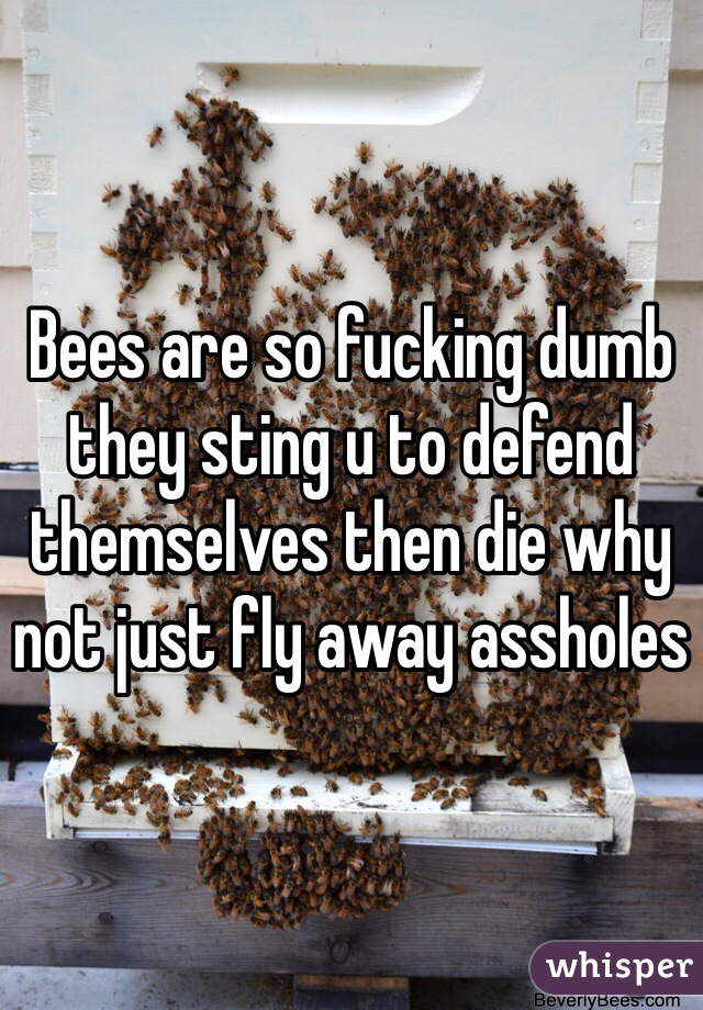 Bees are so fucking dumb they sting u to defend themselves then die why not just fly away assholes 
