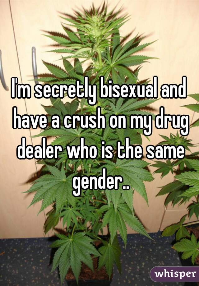 I'm secretly bisexual and have a crush on my drug dealer who is the same gender..