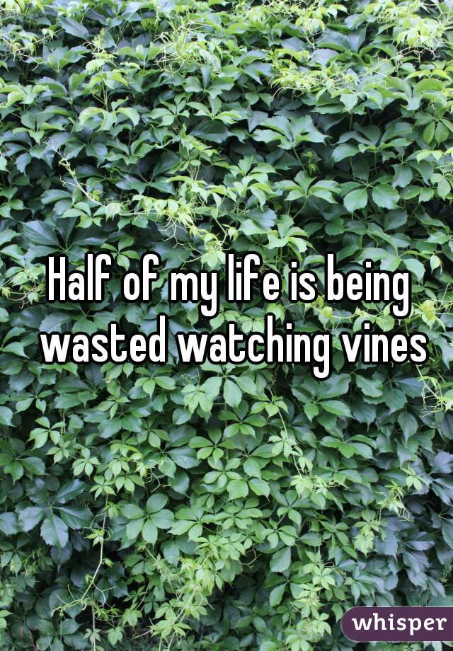 Half of my life is being wasted watching vines