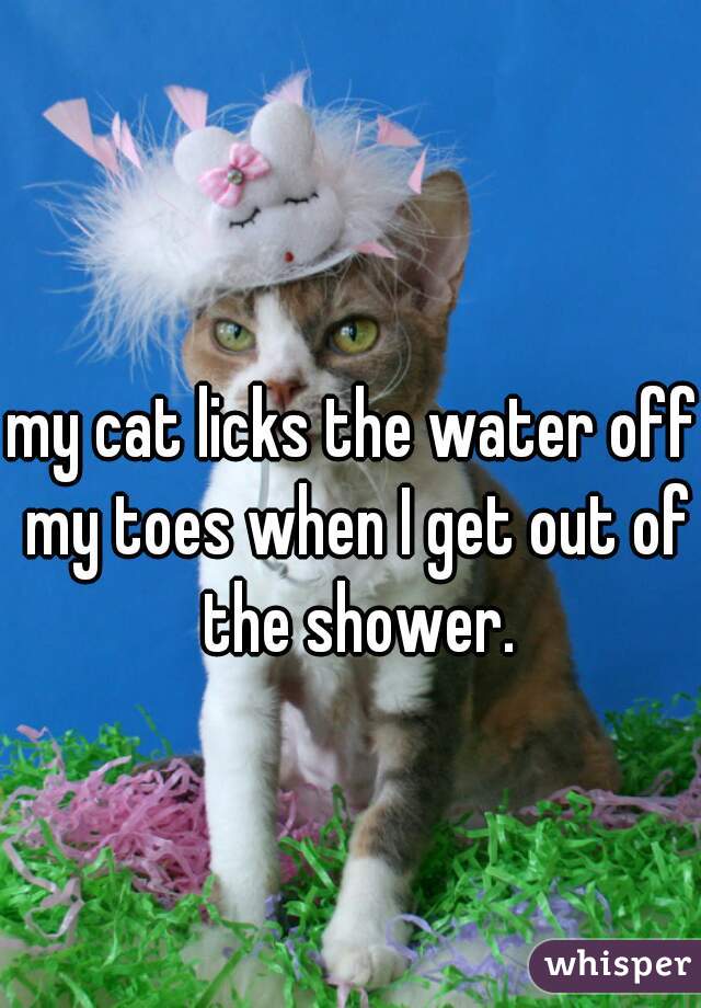 my cat licks the water off my toes when I get out of the shower.