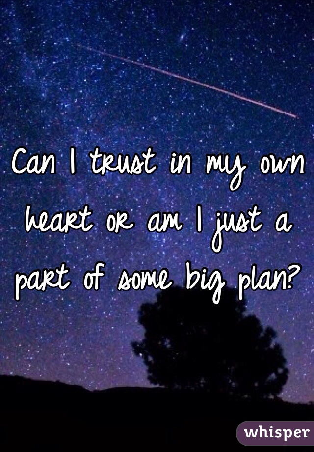 Can I trust in my own heart or am I just a part of some big plan? 