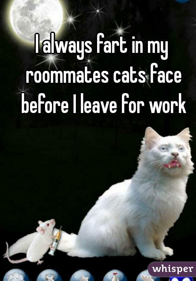 I always fart in my roommates cats face before I leave for work