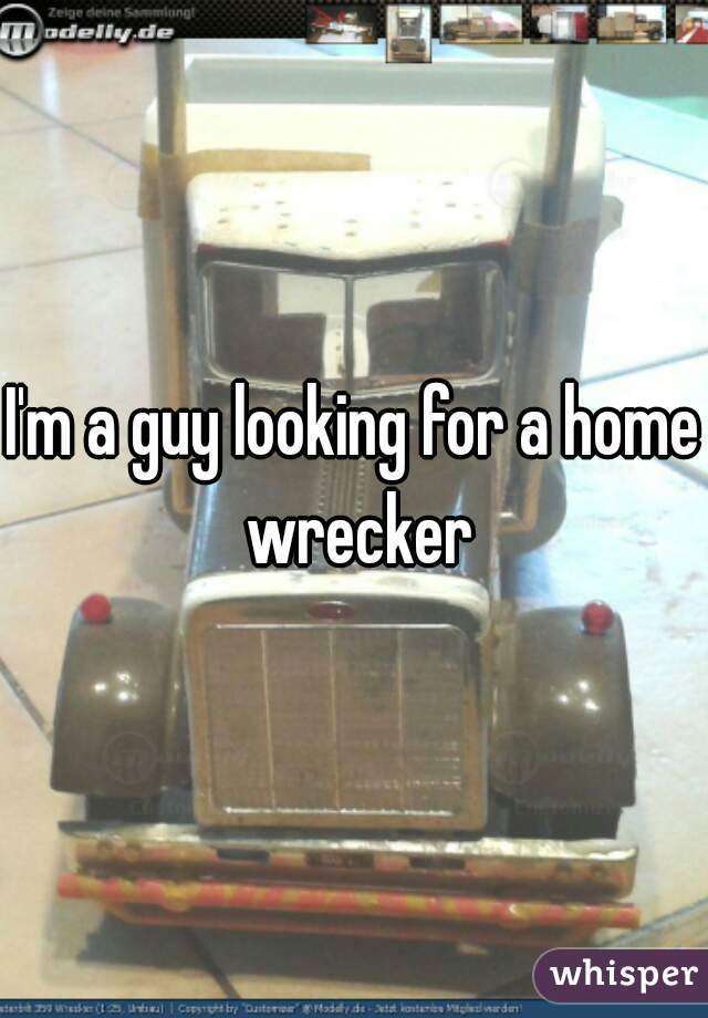 I'm a guy looking for a home wrecker