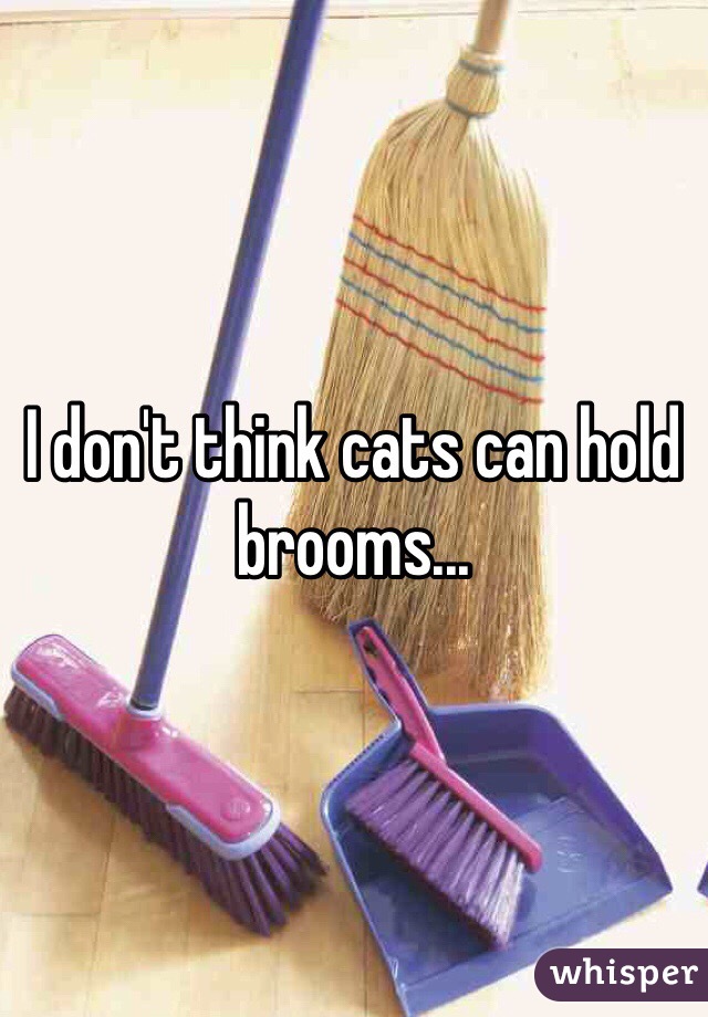 I don't think cats can hold brooms...