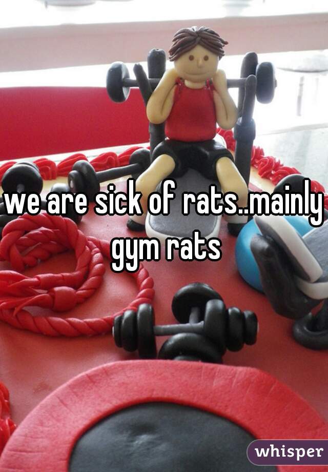 we are sick of rats..mainly gym rats