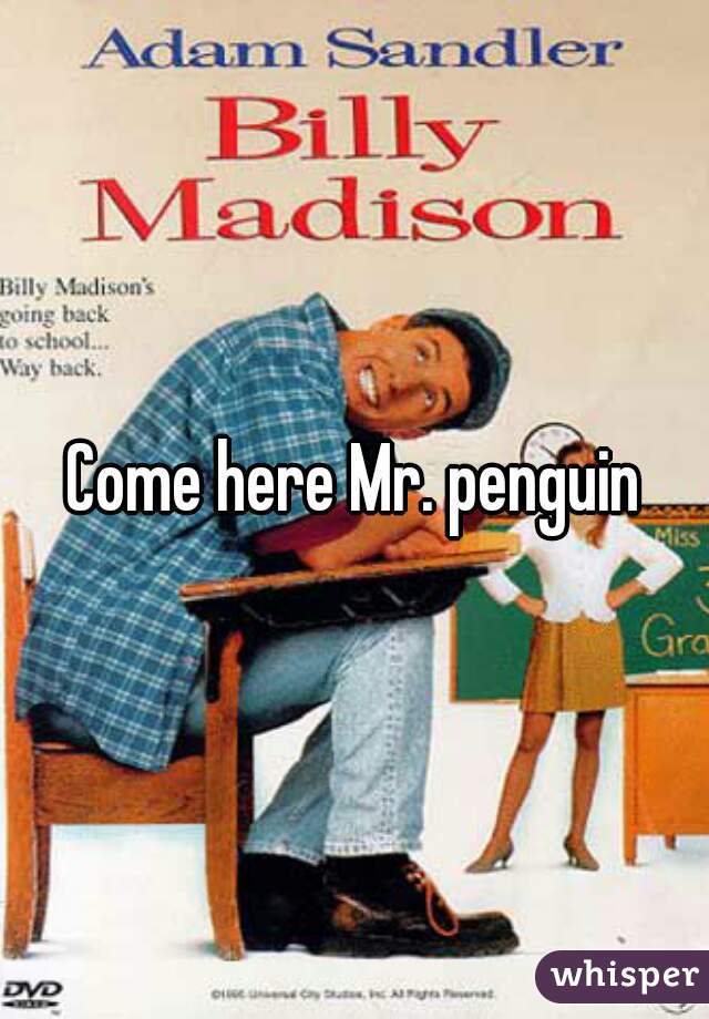Come here Mr. penguin