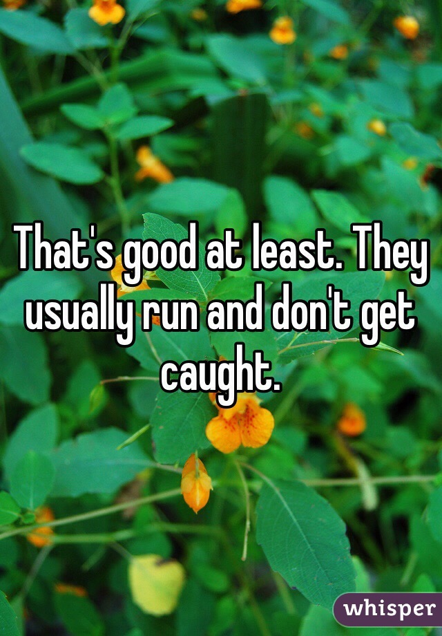 That's good at least. They usually run and don't get caught. 