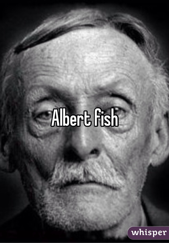 Albert fish