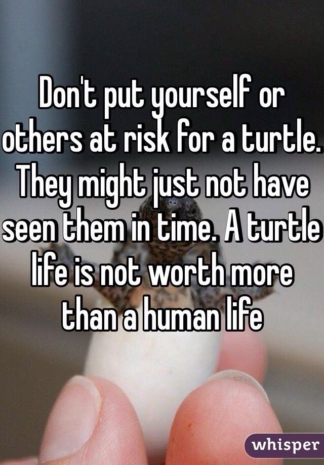 Don't put yourself or others at risk for a turtle. They might just not have seen them in time. A turtle life is not worth more than a human life 