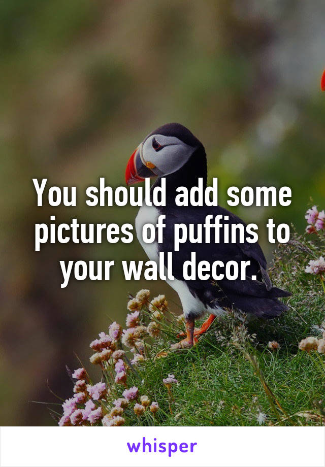You should add some pictures of puffins to your wall decor. 