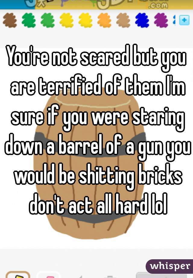 You're not scared but you are terrified of them I'm sure if you were staring down a barrel of a gun you would be shitting bricks don't act all hard lol