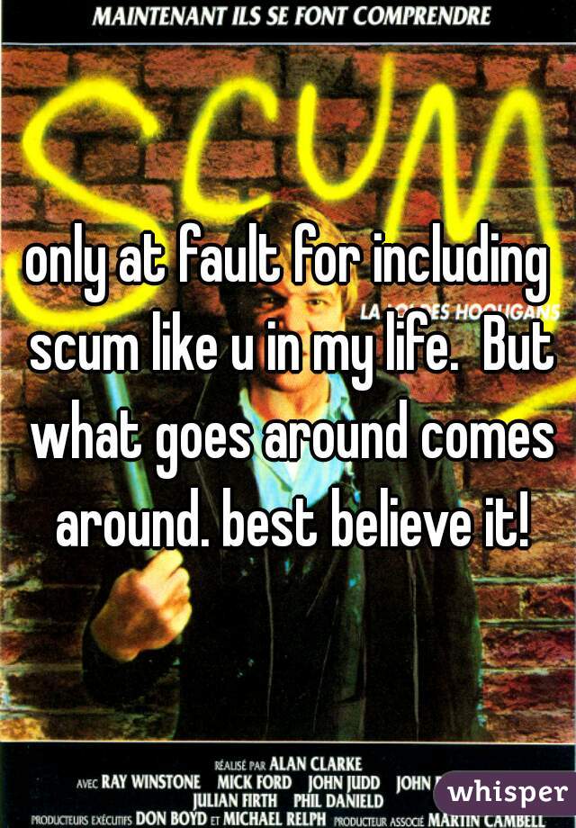only at fault for including scum like u in my life.  But what goes around comes around. best believe it!