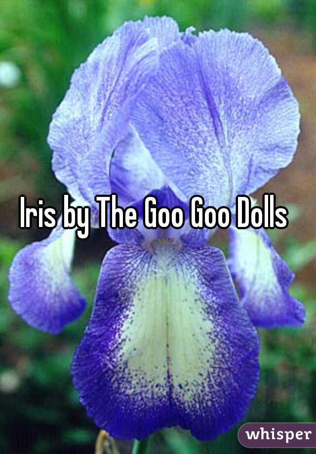 Iris by The Goo Goo Dolls 