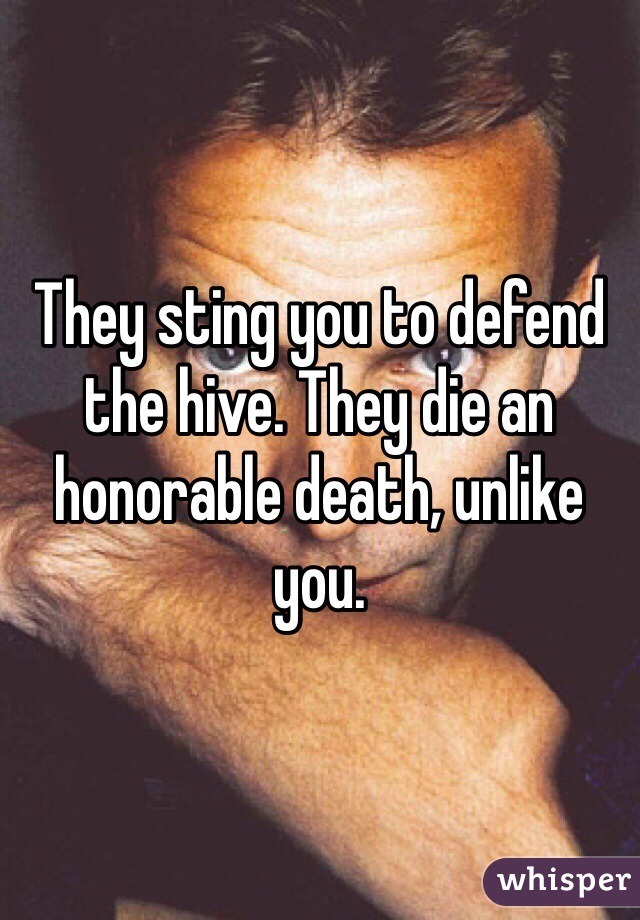 They sting you to defend the hive. They die an honorable death, unlike you.