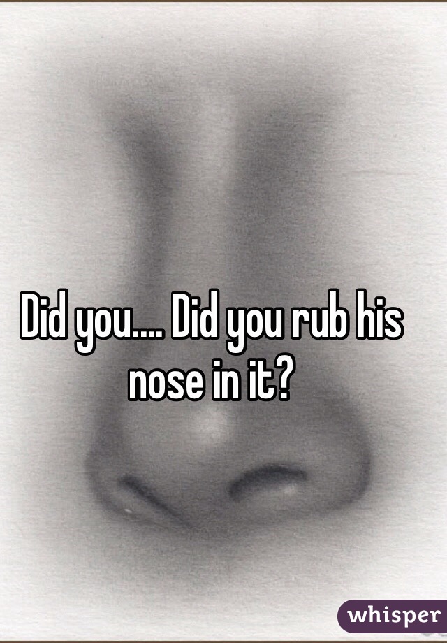 Did you.... Did you rub his nose in it?