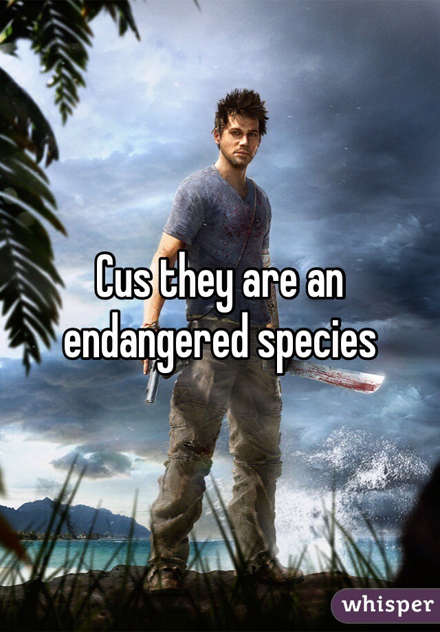 Cus they are an endangered species 