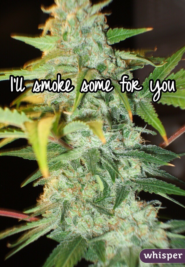 I'll smoke some for you