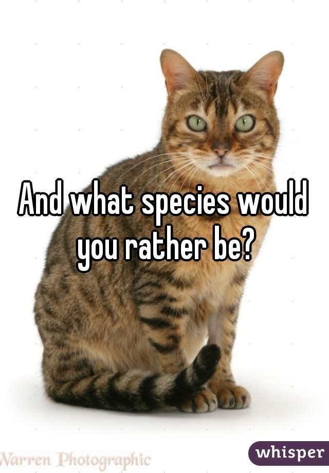 And what species would you rather be?