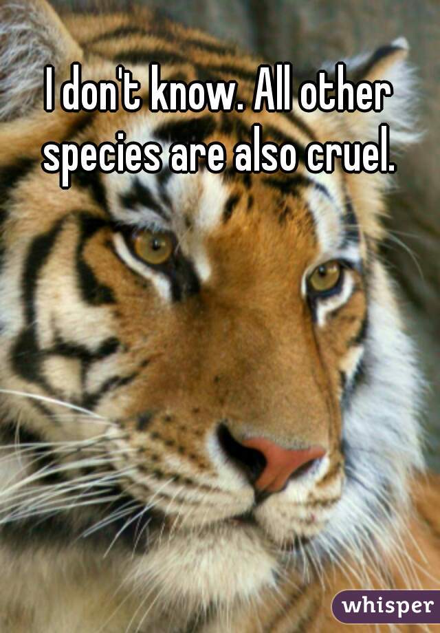 I don't know. All other species are also cruel. 