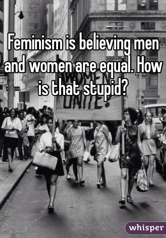 Feminism is believing men and women are equal. How is that stupid?