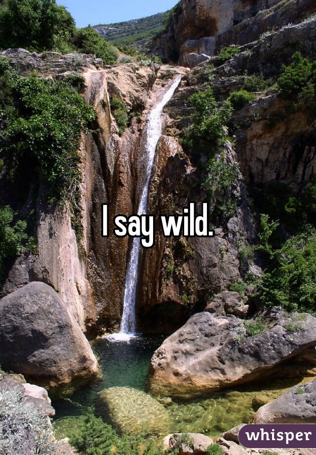 I say wild.