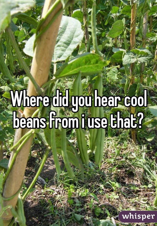 Where did you hear cool beans from i use that?