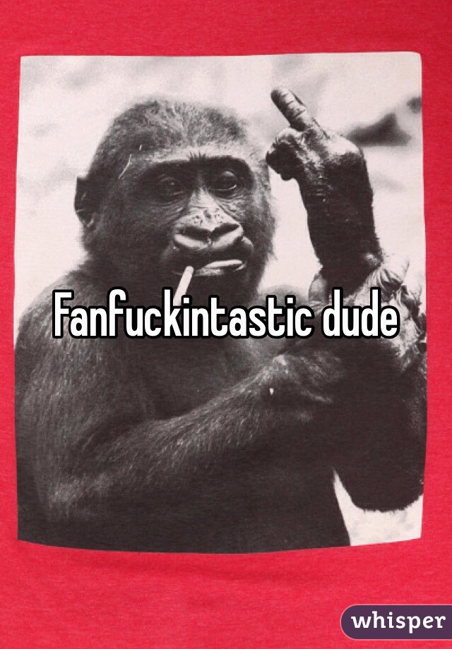 Fanfuckintastic dude