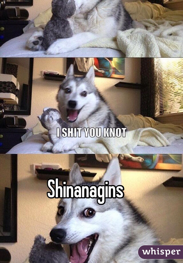 Shinanagins 