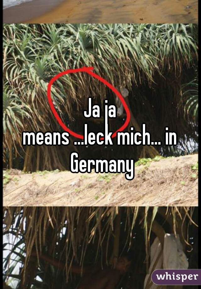 Ja ja
means ...leck mich... in Germany