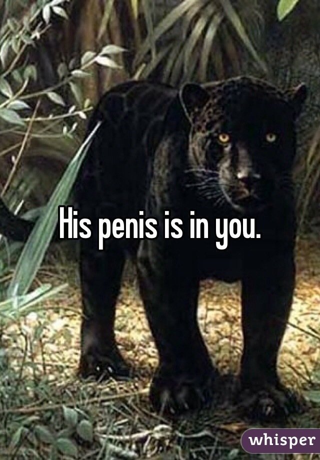His penis is in you.